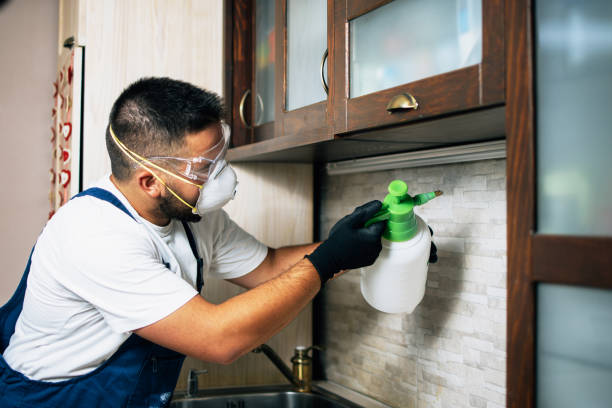 Best Pest Removal Services  in Reidland, KY