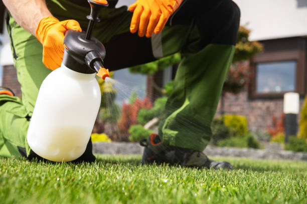 Best Wildlife Control Services  in Reidland, KY