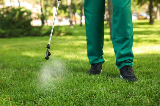 Best Affordable Pest Control Services  in Reidland, KY