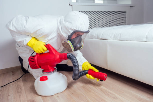 Trusted Reidland, KY Pest Control Experts