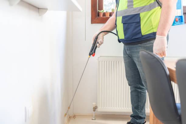 Best Wasp Removal Services  in Reidland, KY