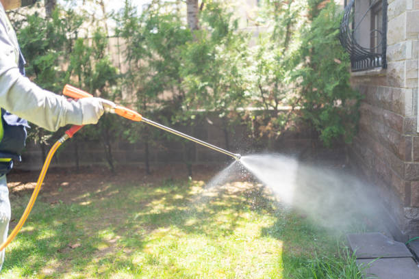Best Bed Bug Extermination  in Reidland, KY