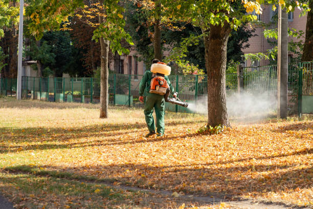 Best Affordable Pest Control Services  in Reidland, KY