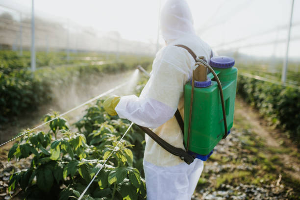 Best Insect Control  in Reidland, KY